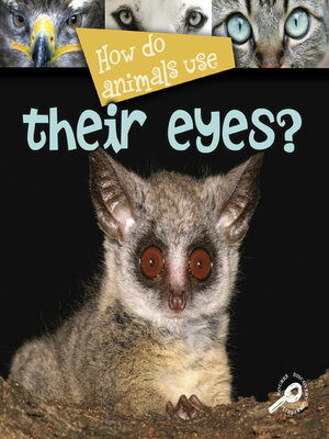 cover image of How Do Animals Use Their Eyes?